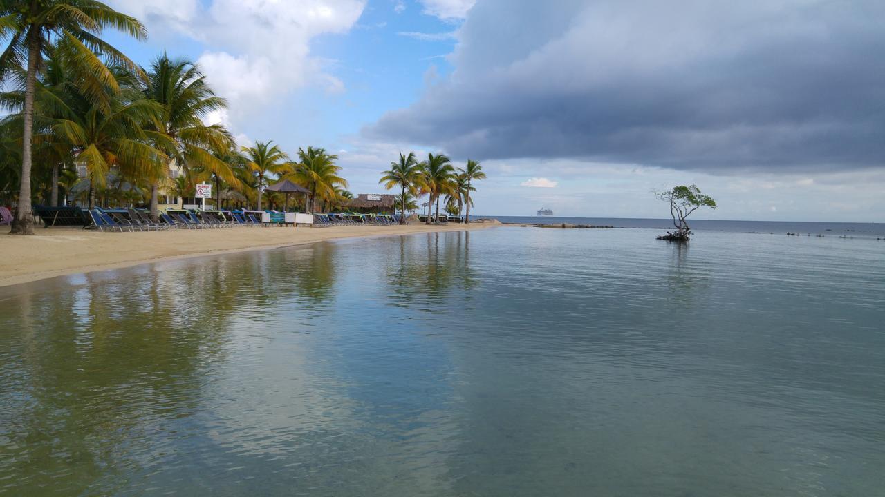 Las Palmas Beach Hotel Dixon Cove Εξωτερικό φωτογραφία