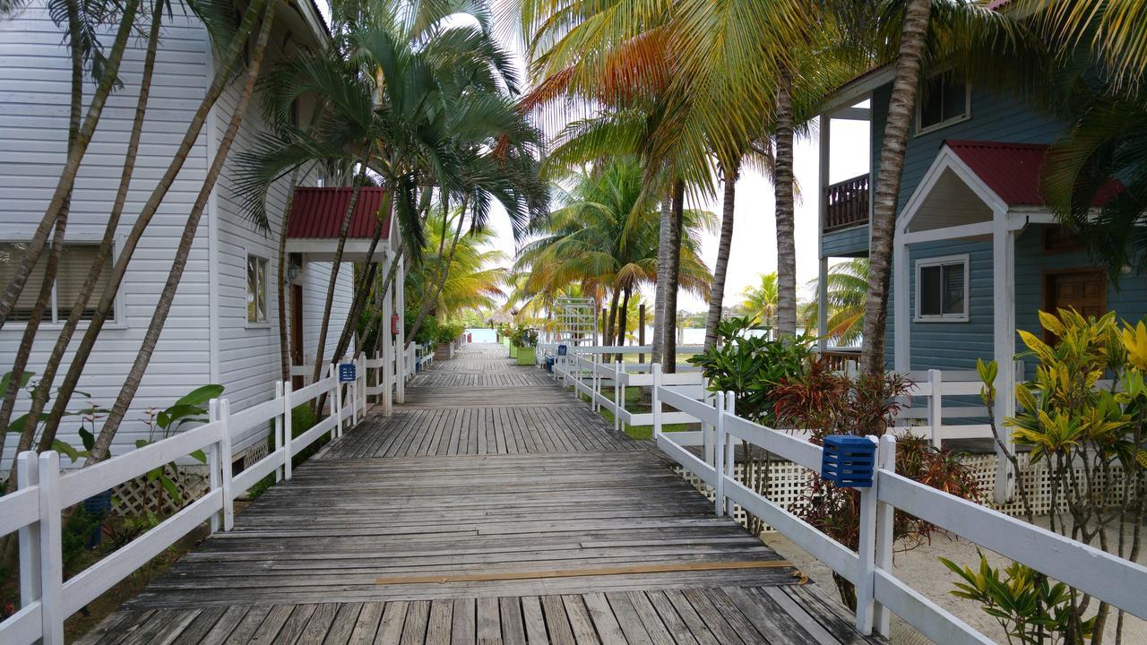 Las Palmas Beach Hotel Dixon Cove Εξωτερικό φωτογραφία