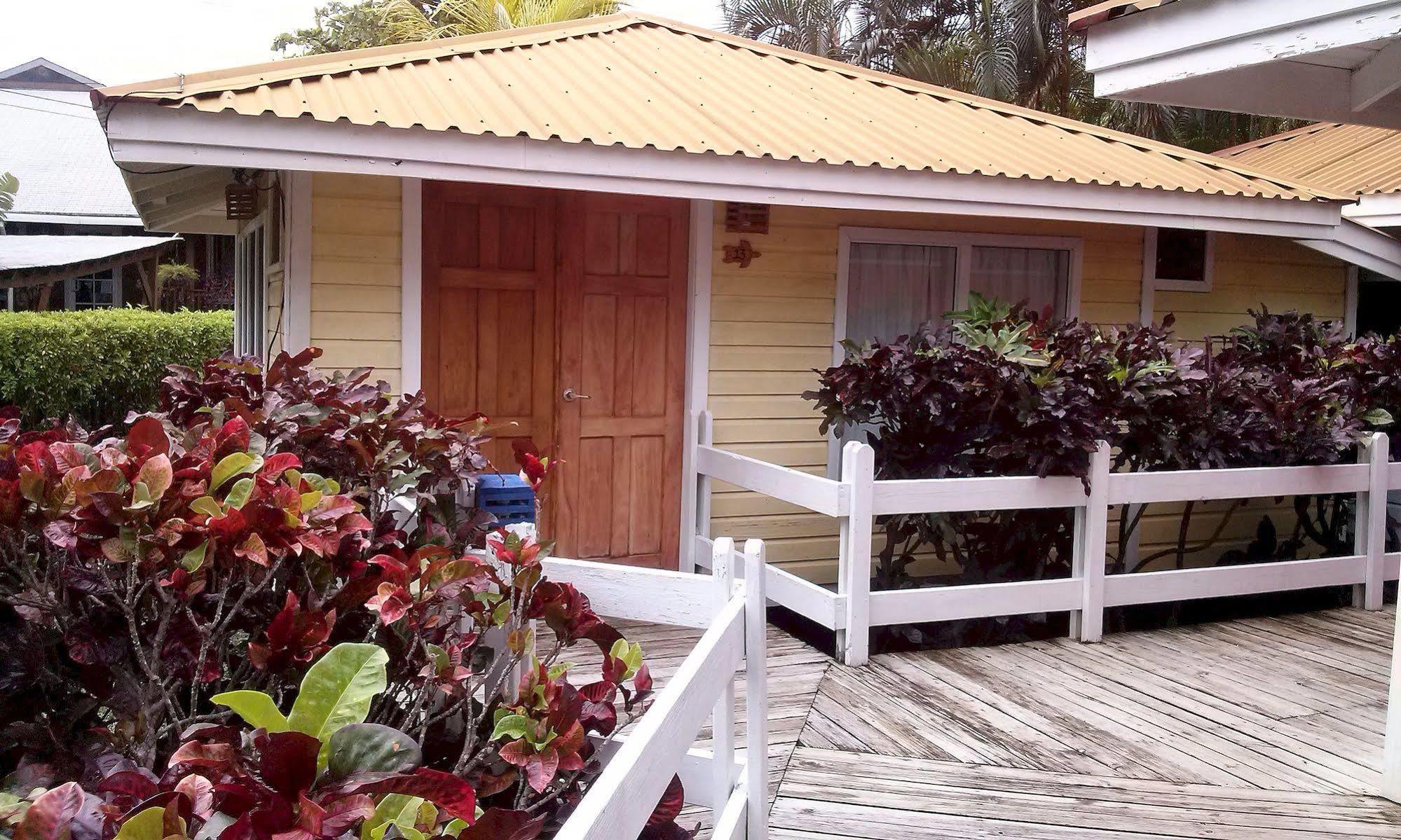 Las Palmas Beach Hotel Dixon Cove Εξωτερικό φωτογραφία