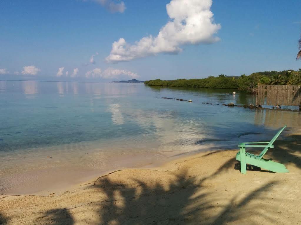 Las Palmas Beach Hotel Dixon Cove Εξωτερικό φωτογραφία